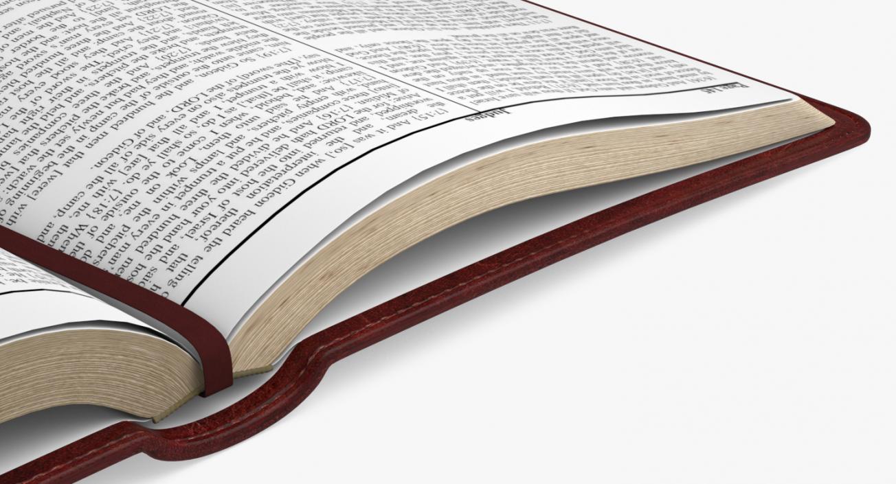 Holy Bible Opened Book 3D