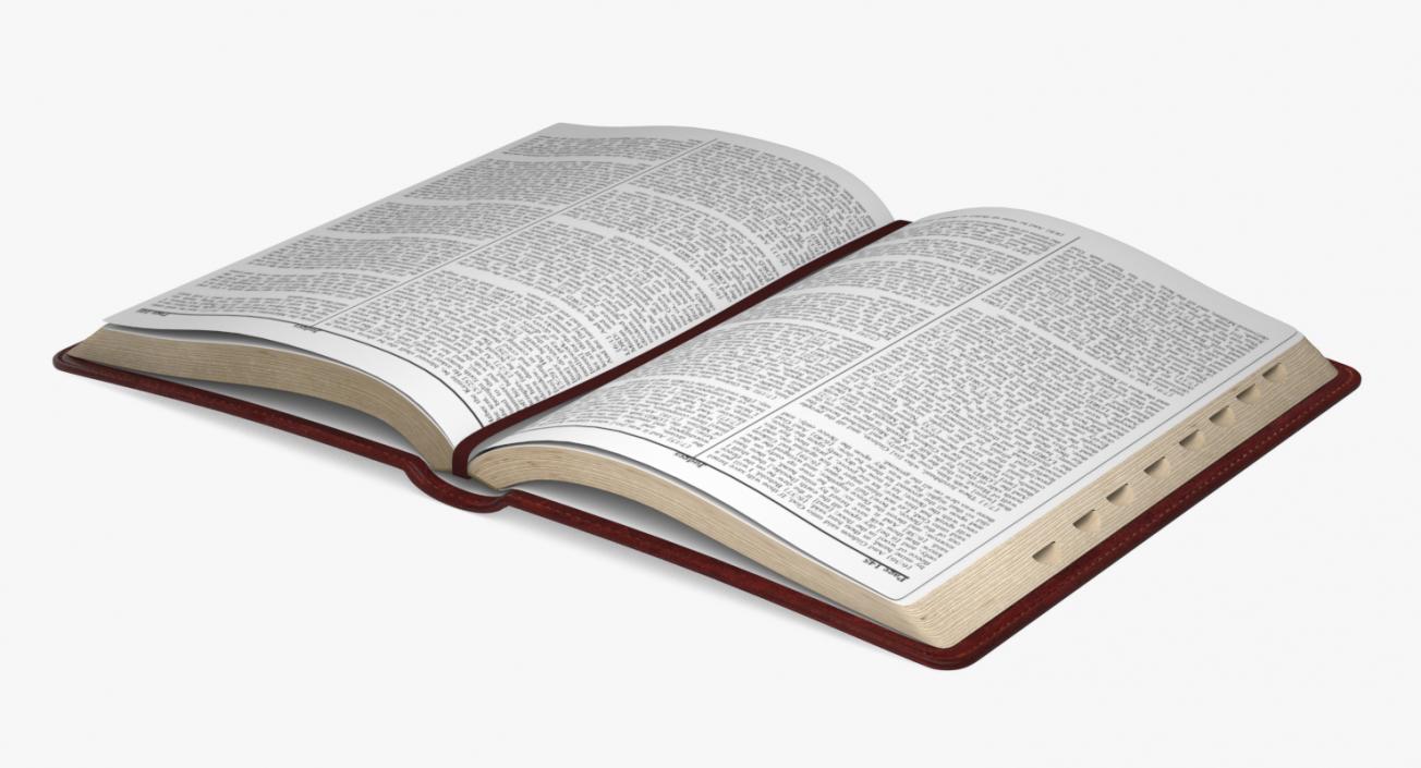 Holy Bible Opened Book 3D