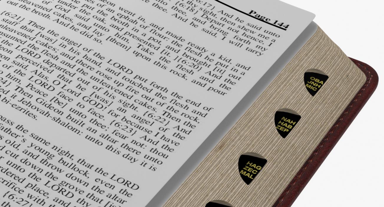 Holy Bible Opened Book 3D