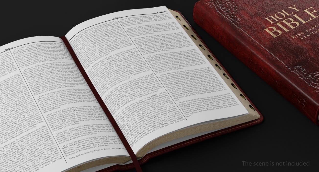 Holy Bible Opened Book 3D