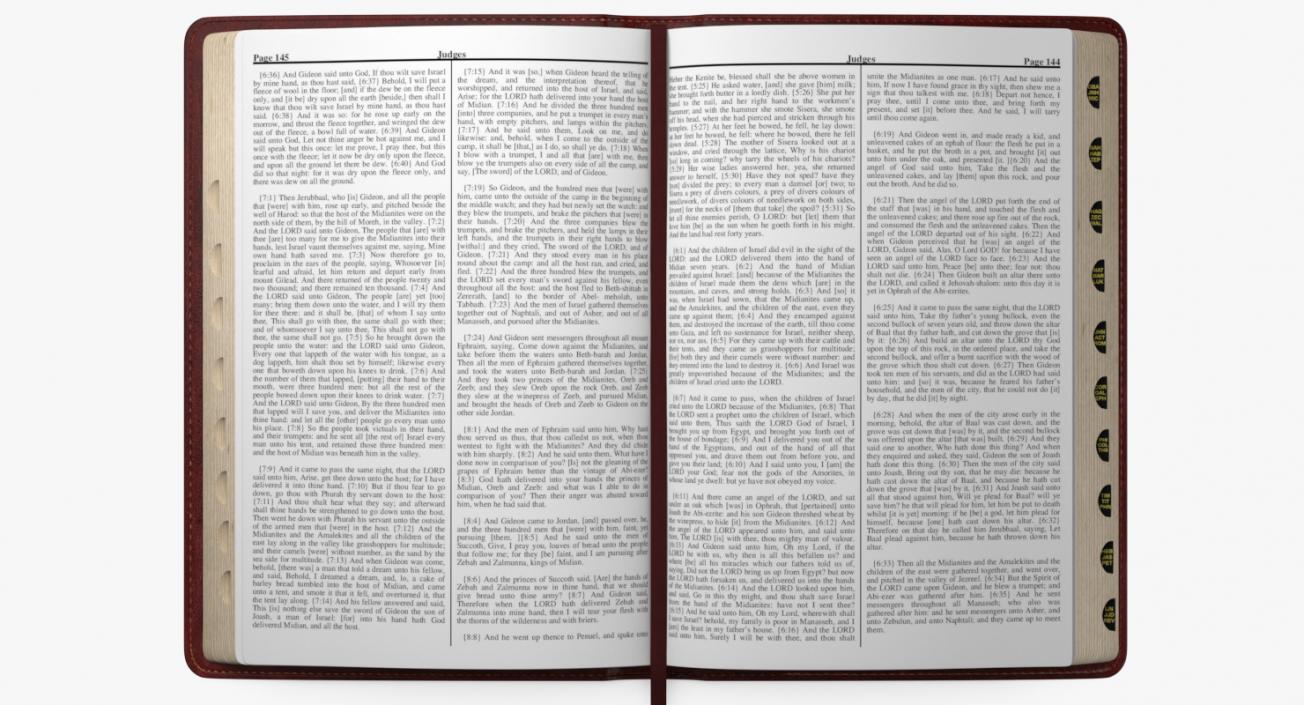 Holy Bible Opened Book 3D