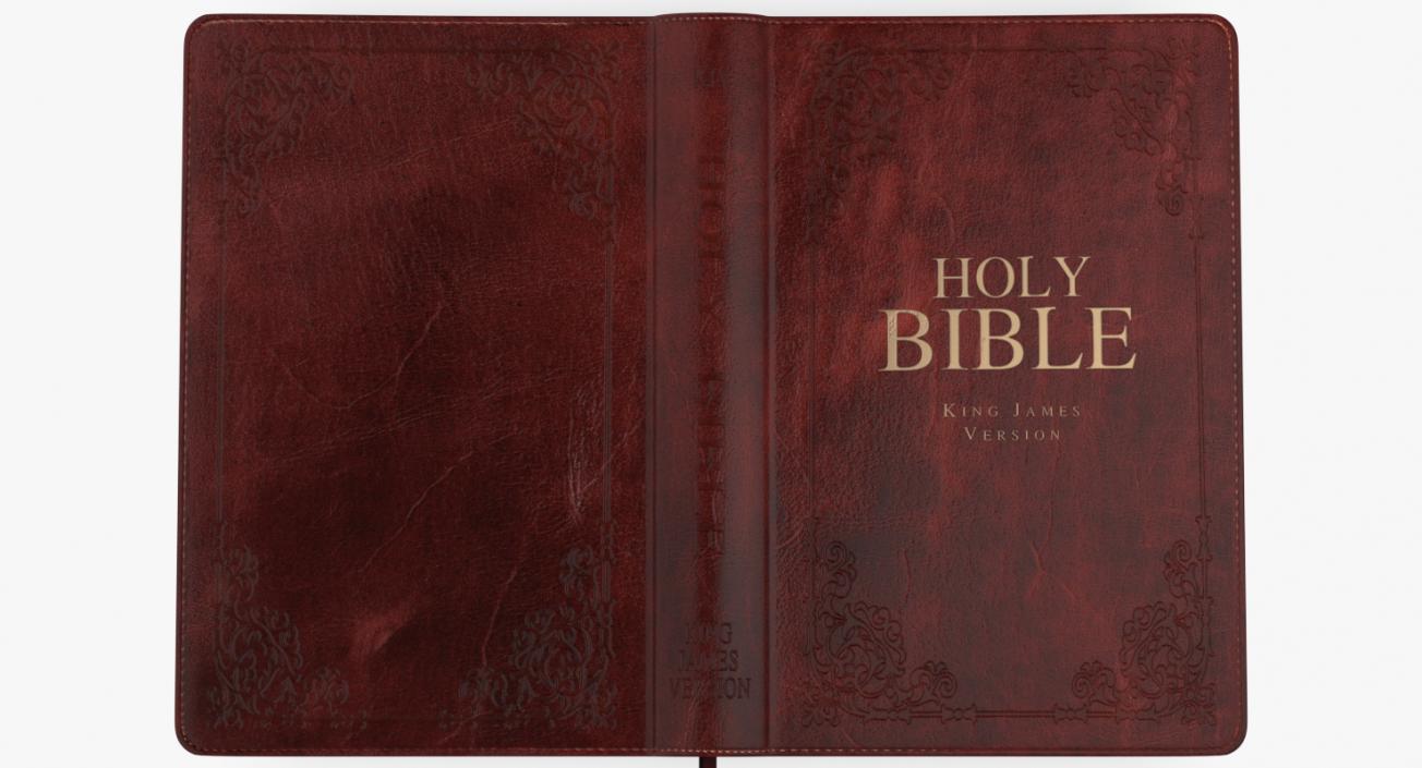 Holy Bible Opened Book 3D