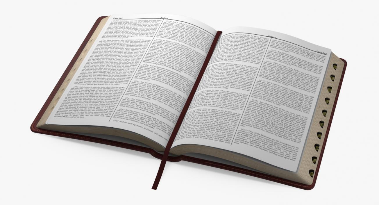 Holy Bible Opened Book 3D