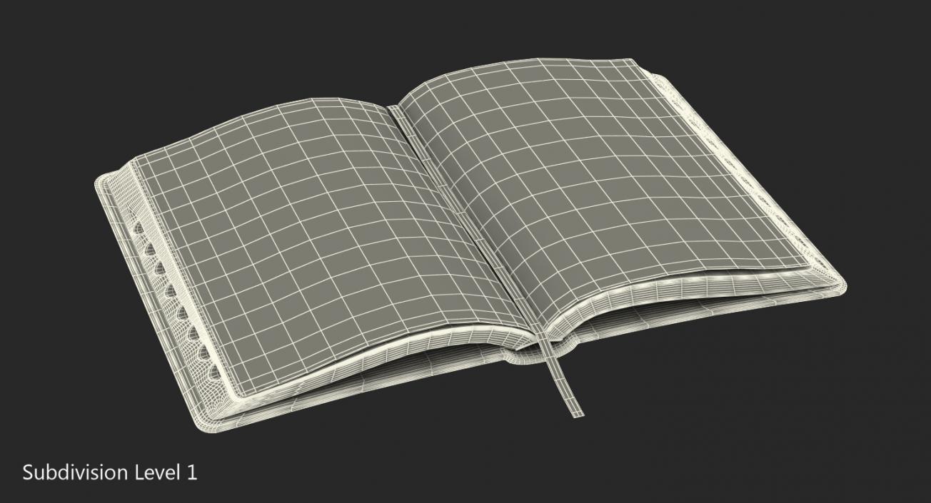 Holy Bible Opened Book 3D