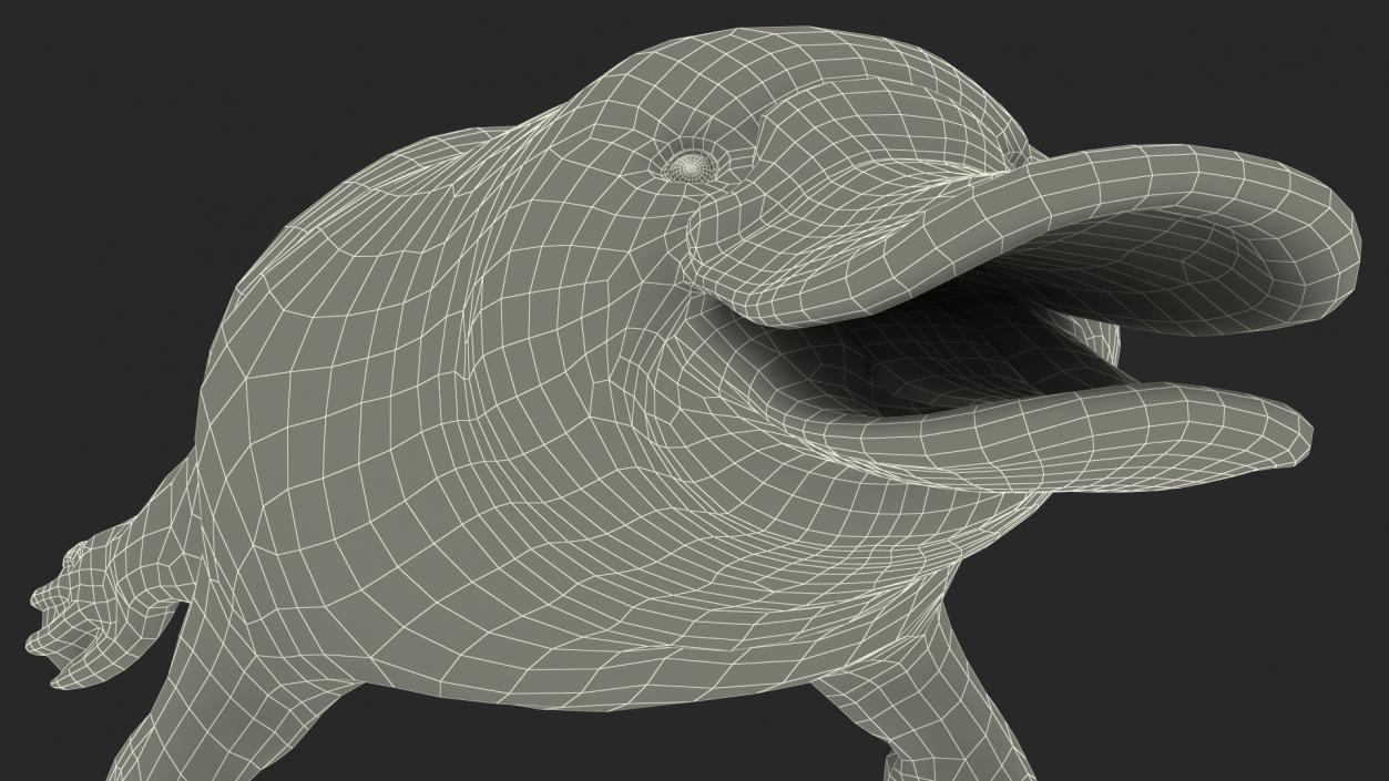 3D Duck Billed Platypus Fur Rigged