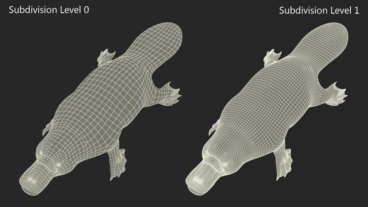 3D Duck Billed Platypus Fur Rigged