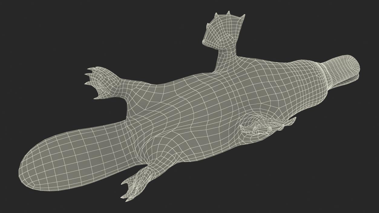 3D Duck Billed Platypus Fur Rigged