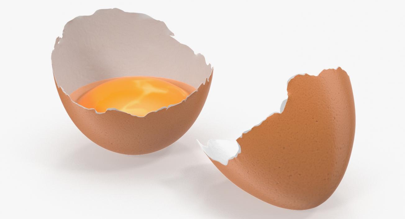 Cracked Egg Shell 3D