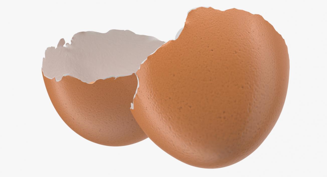 Cracked Egg Shell 3D