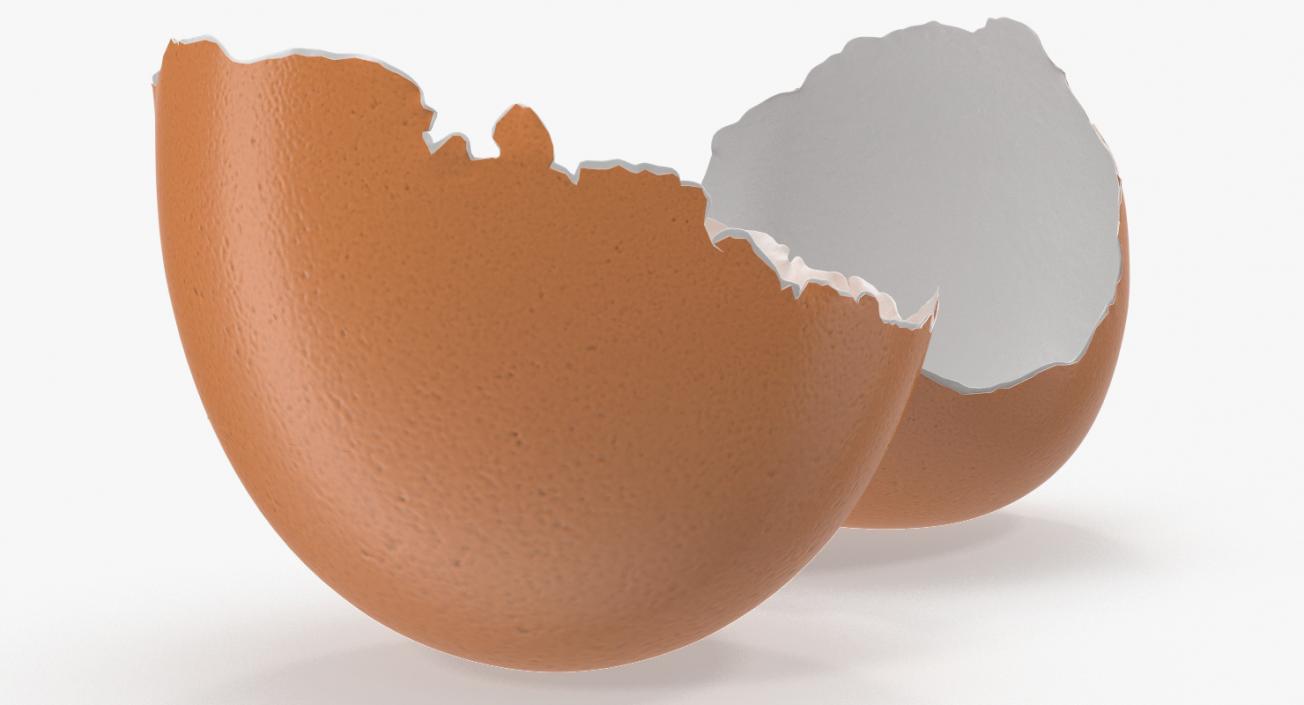 Cracked Egg Shell 3D