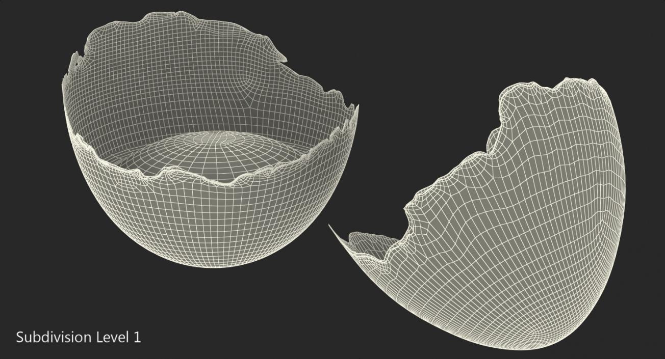 Cracked Egg Shell 3D