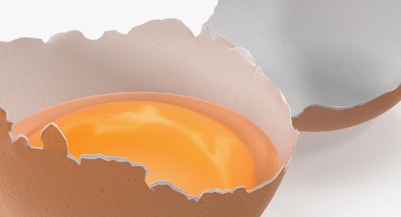 Cracked Egg Shell 3D