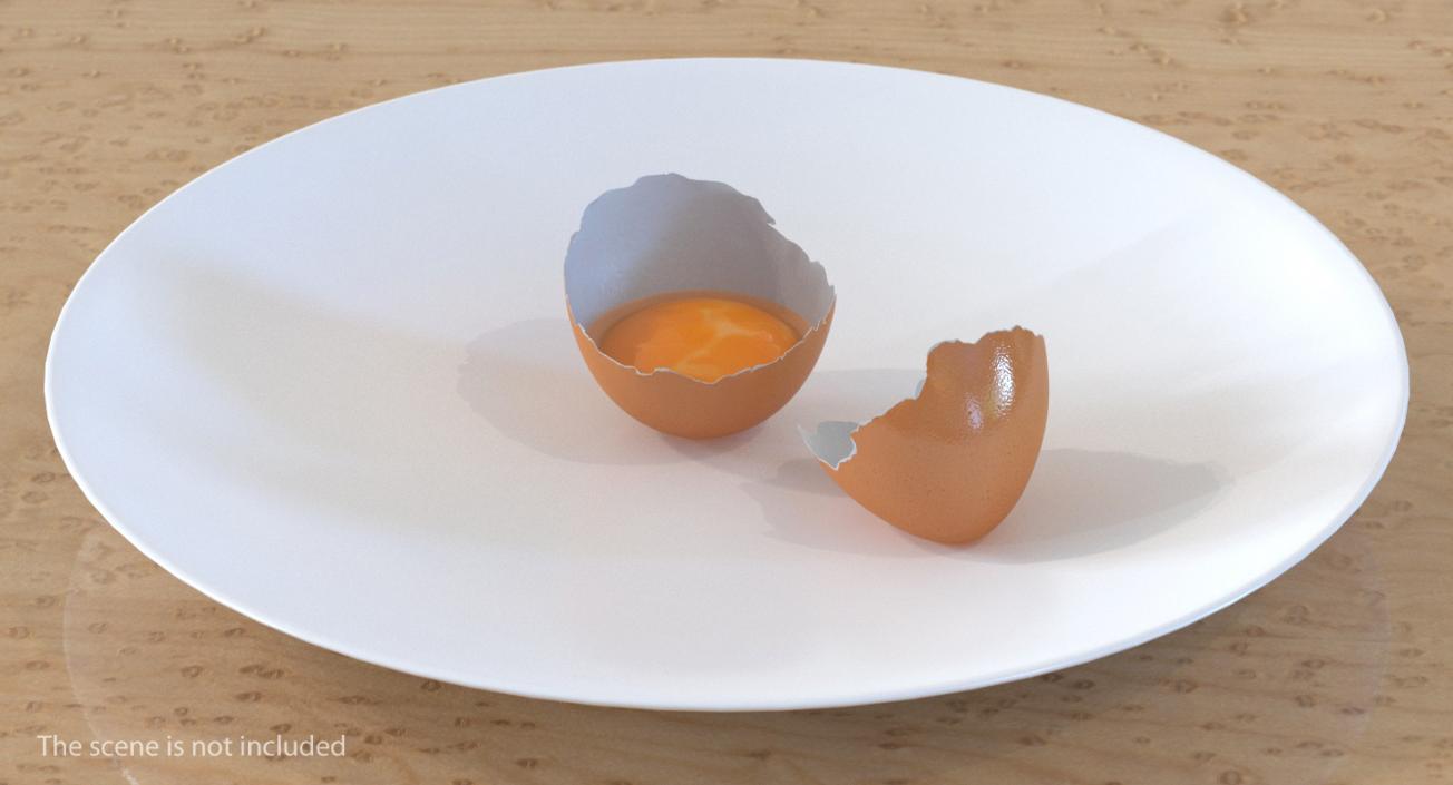 Cracked Egg Shell 3D