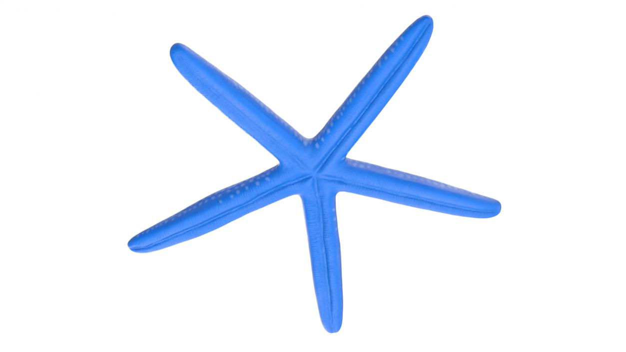 3D model Blue Sea Star 2