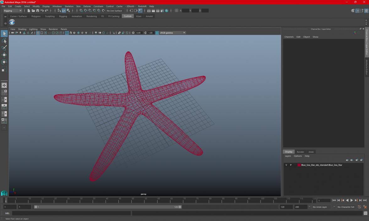 3D model Blue Sea Star 2