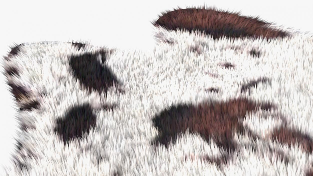 Brown and White Spotted Cowhide Rug Fur 3D model