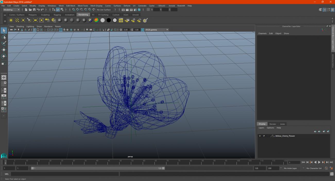 3D model Yellow Cherry Flower