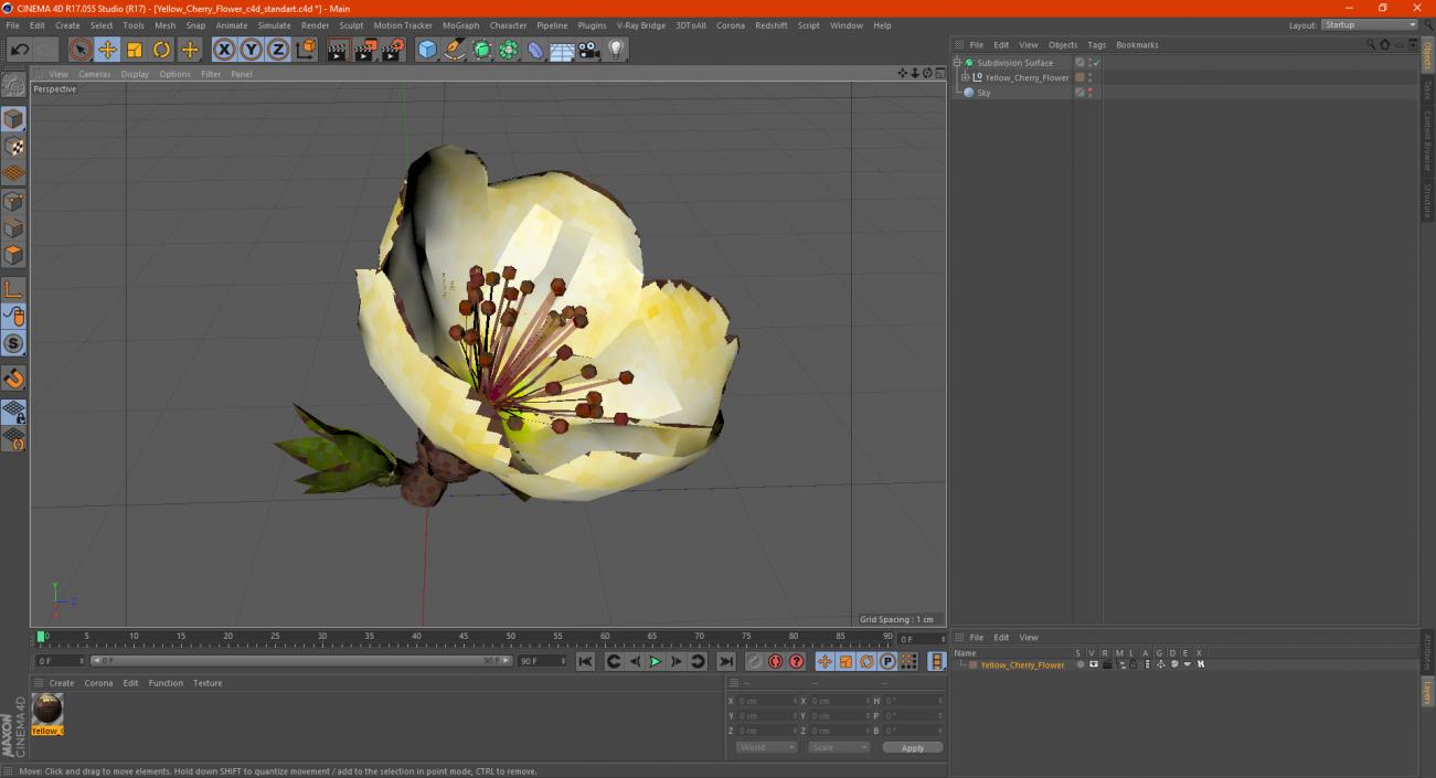 3D model Yellow Cherry Flower