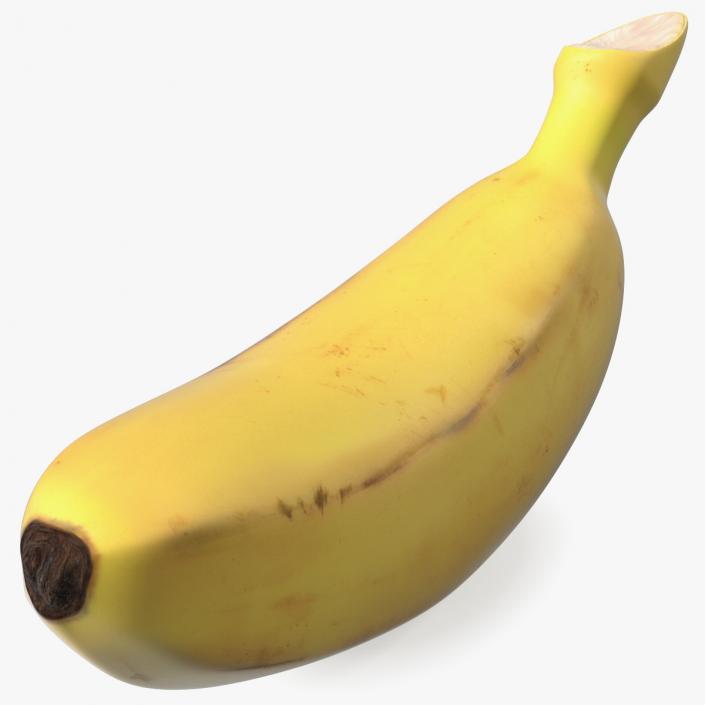 3D model Old Ripe Baby Banana