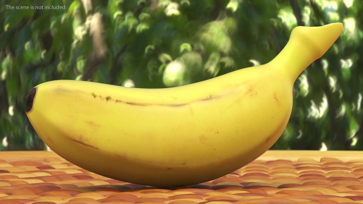 3D model Old Ripe Baby Banana