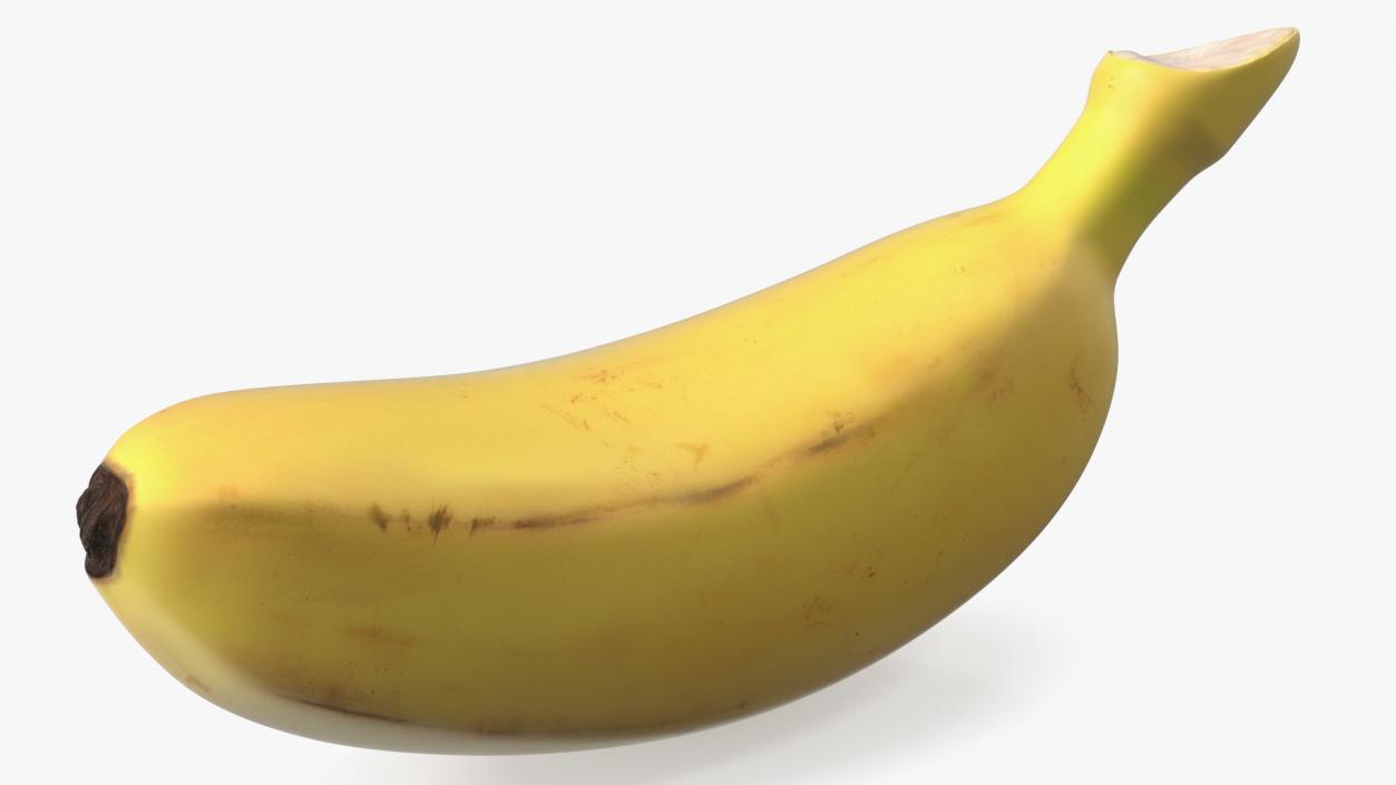 3D model Old Ripe Baby Banana