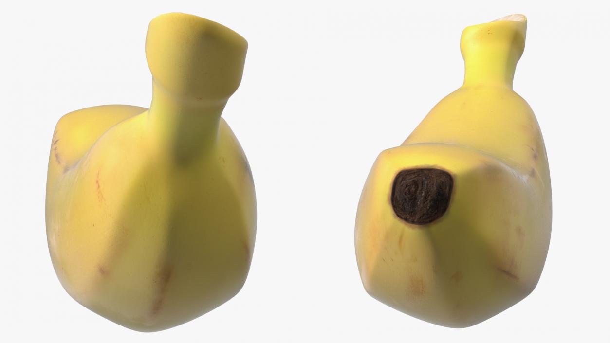 3D model Old Ripe Baby Banana