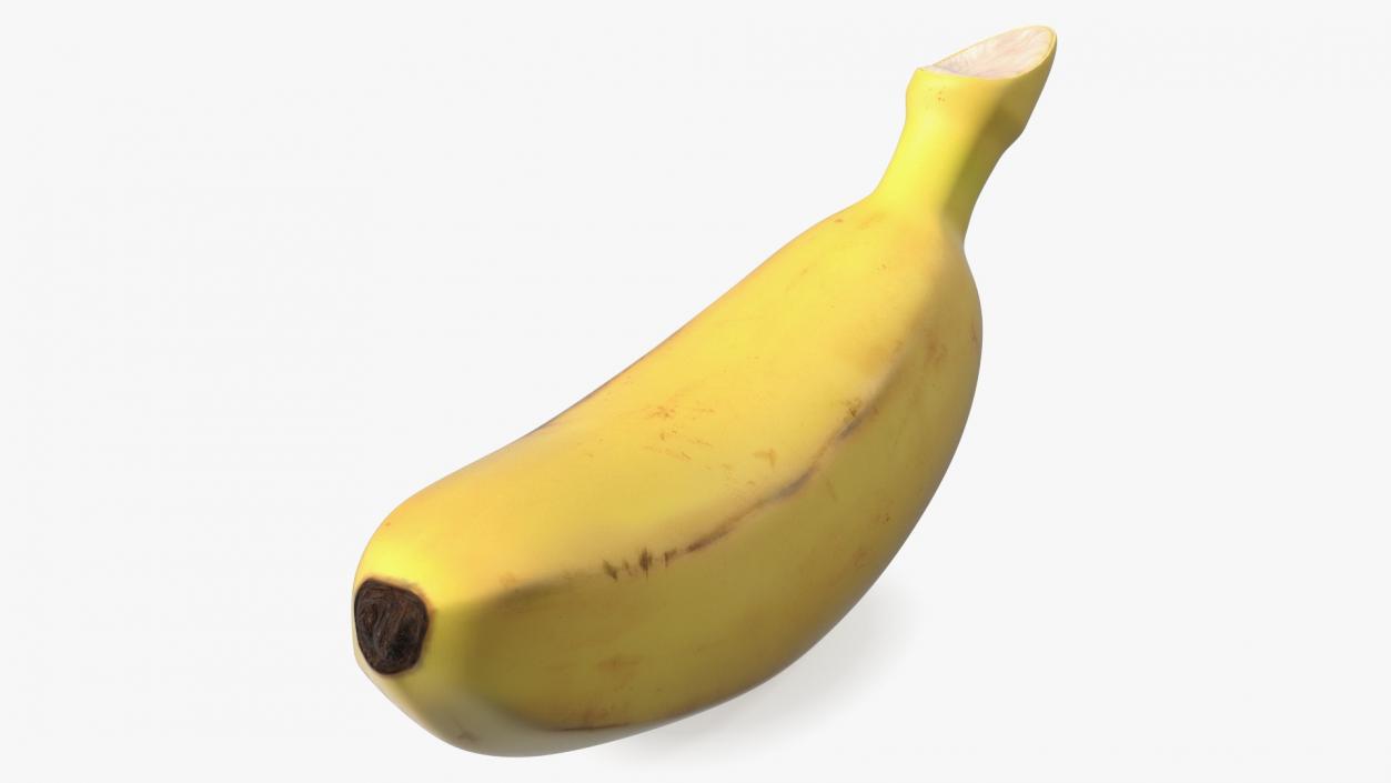 3D model Old Ripe Baby Banana