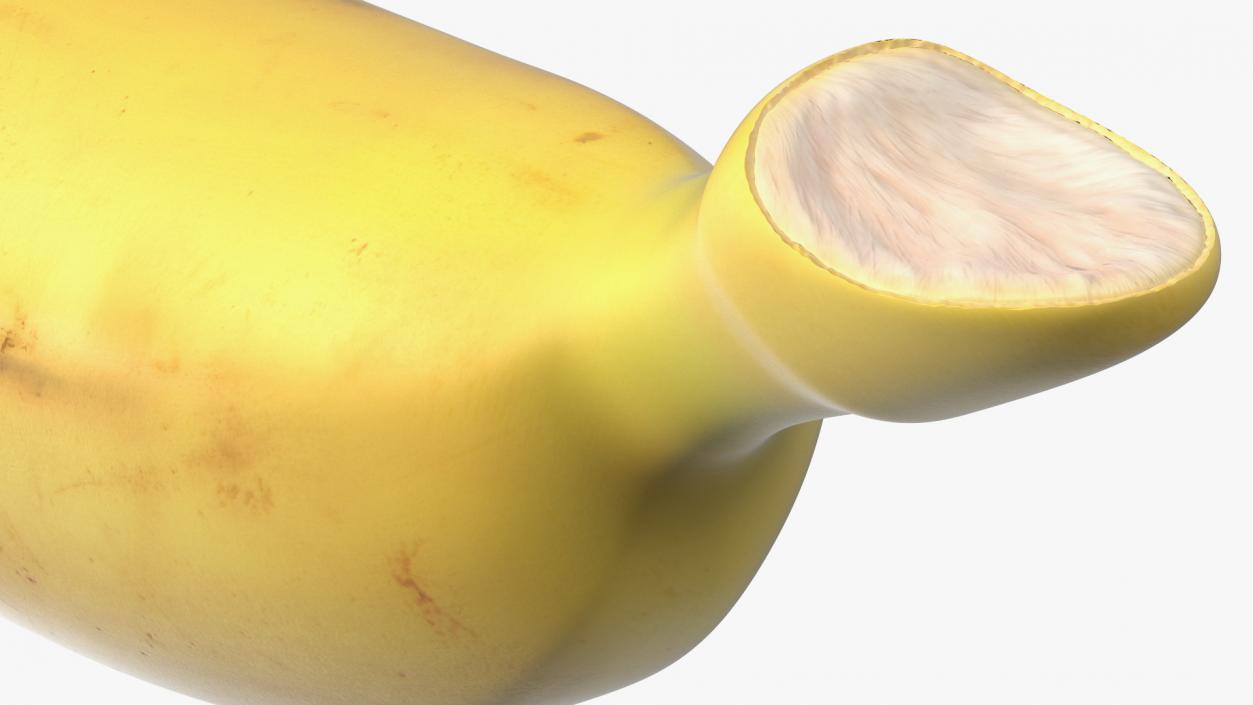 3D model Old Ripe Baby Banana