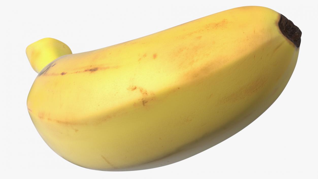 3D model Old Ripe Baby Banana