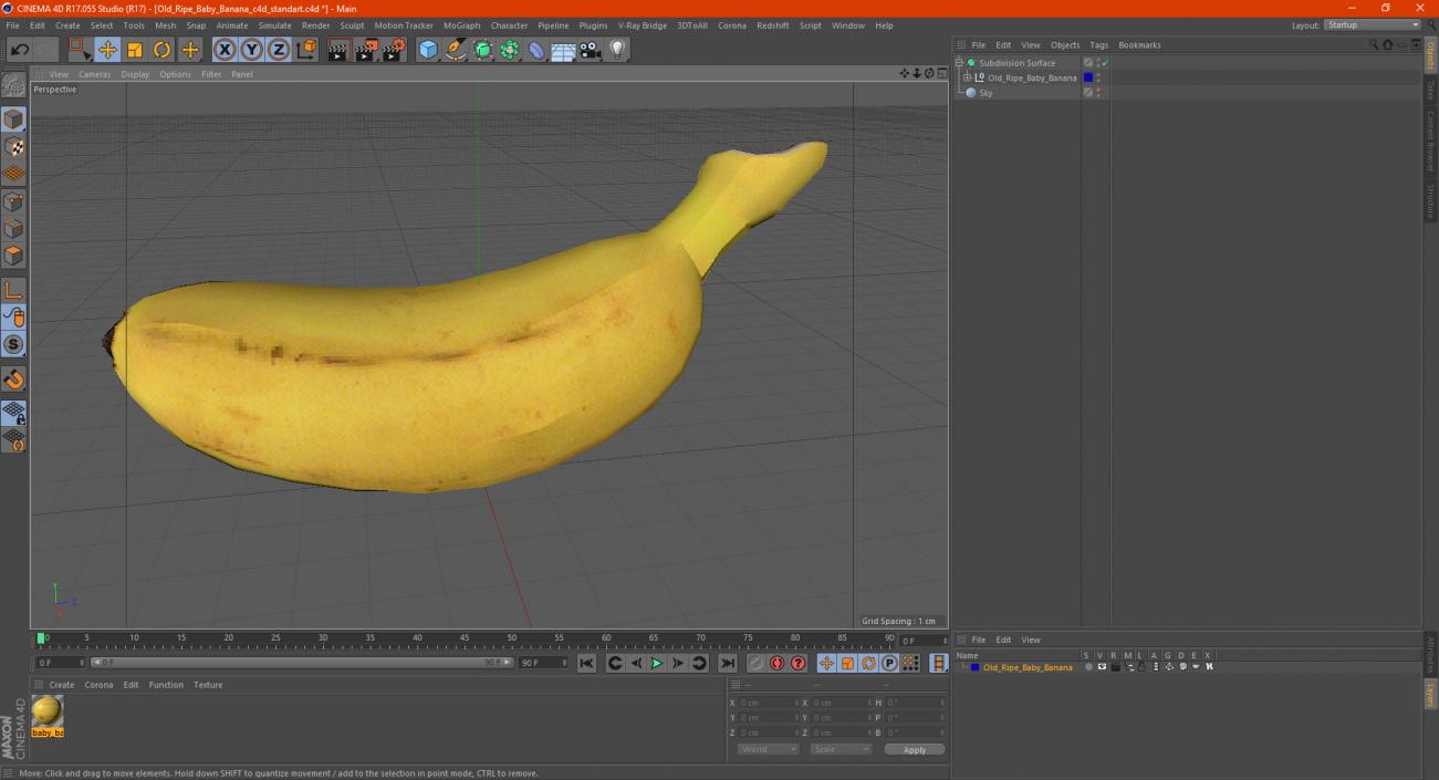 3D model Old Ripe Baby Banana