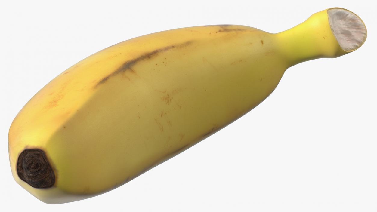 3D model Old Ripe Baby Banana