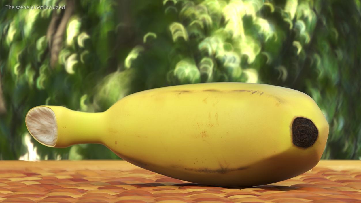 3D model Old Ripe Baby Banana