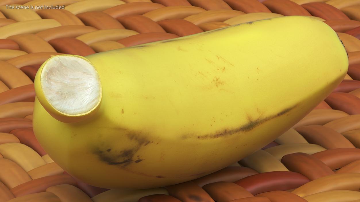 3D model Old Ripe Baby Banana