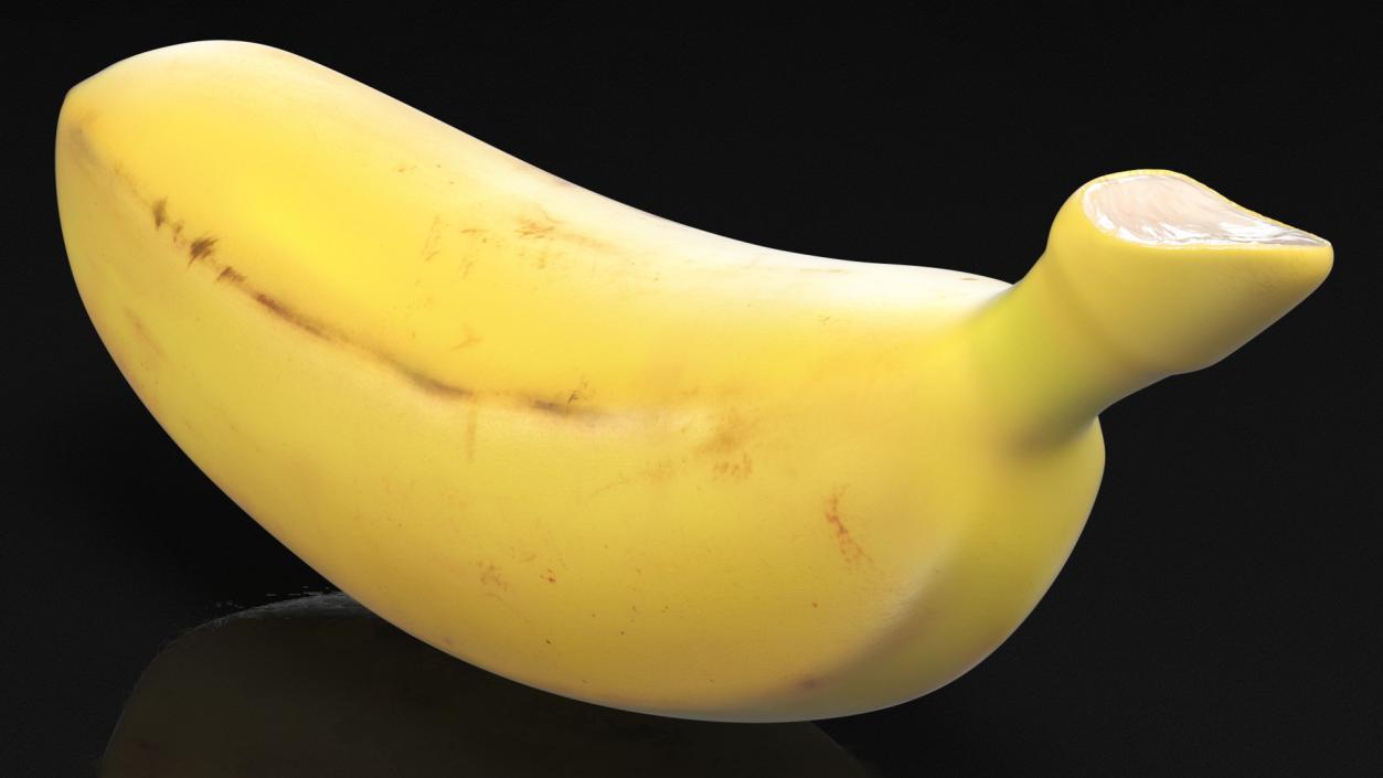 3D model Old Ripe Baby Banana