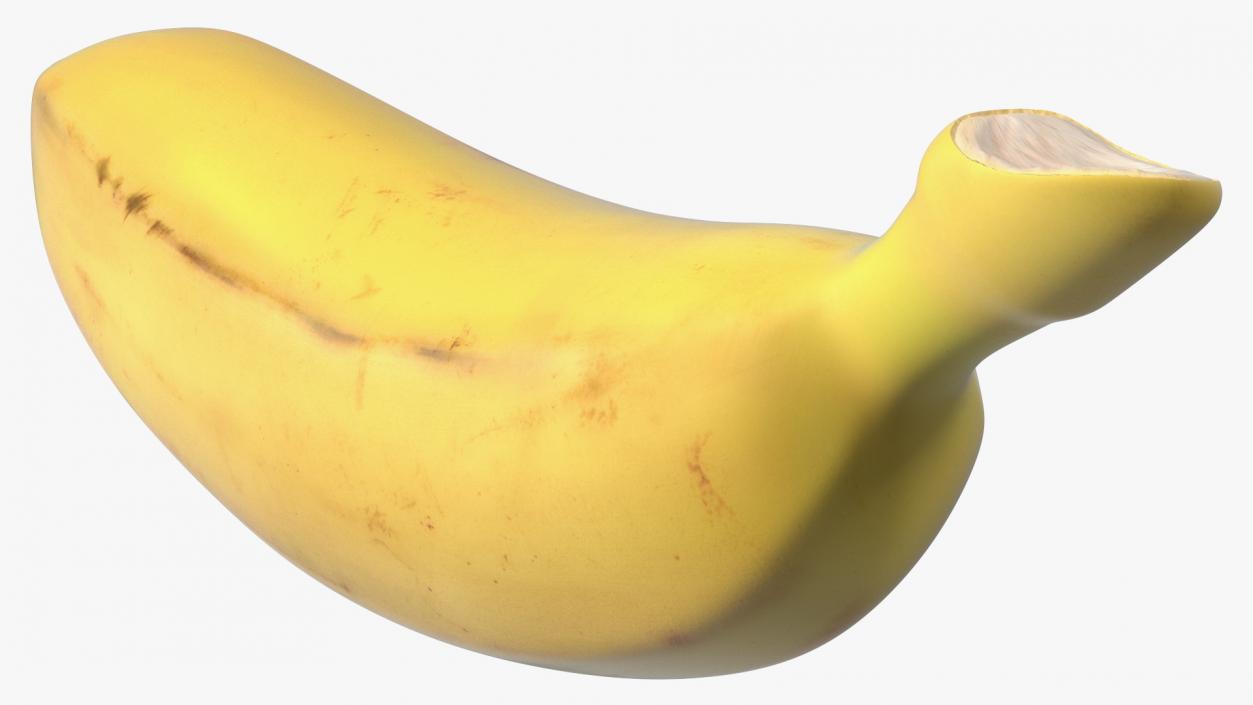 3D model Old Ripe Baby Banana