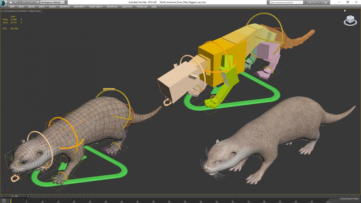 3D North American River Otter Rigged model