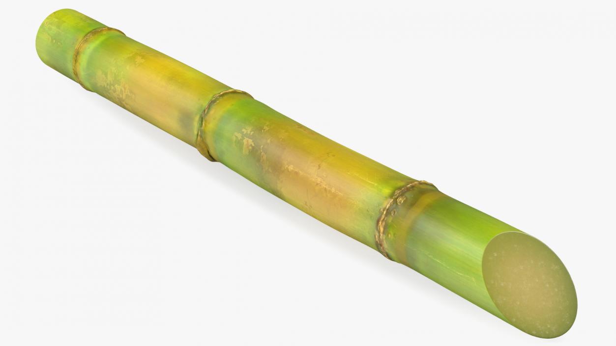 3D Green Sugarcane Stick