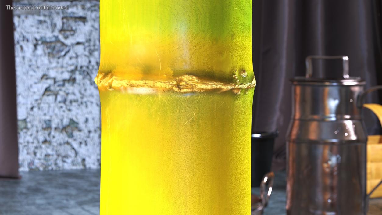 3D Green Sugarcane Stick