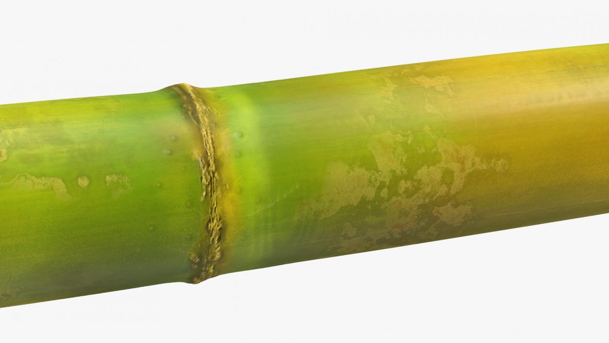 3D Green Sugarcane Stick