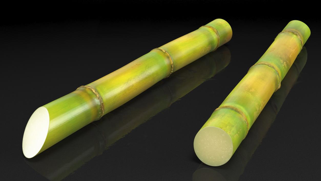 3D Green Sugarcane Stick