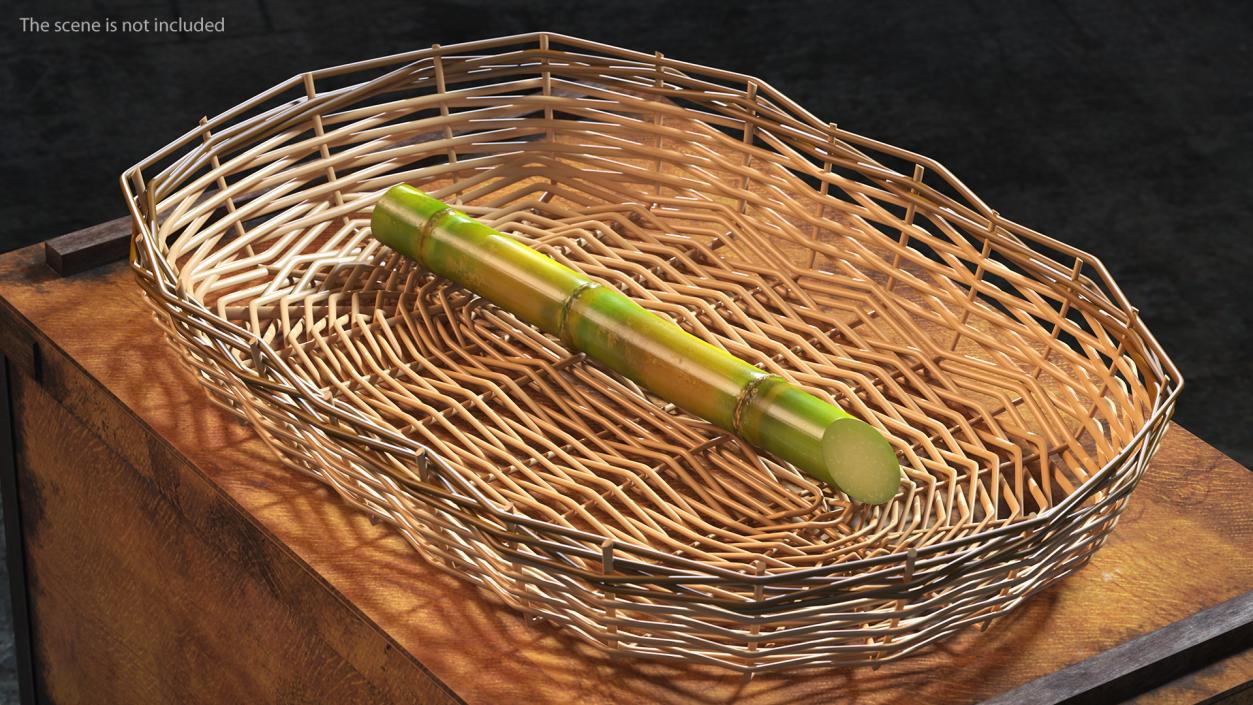 3D Green Sugarcane Stick