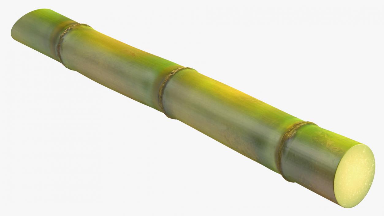 3D Green Sugarcane Stick