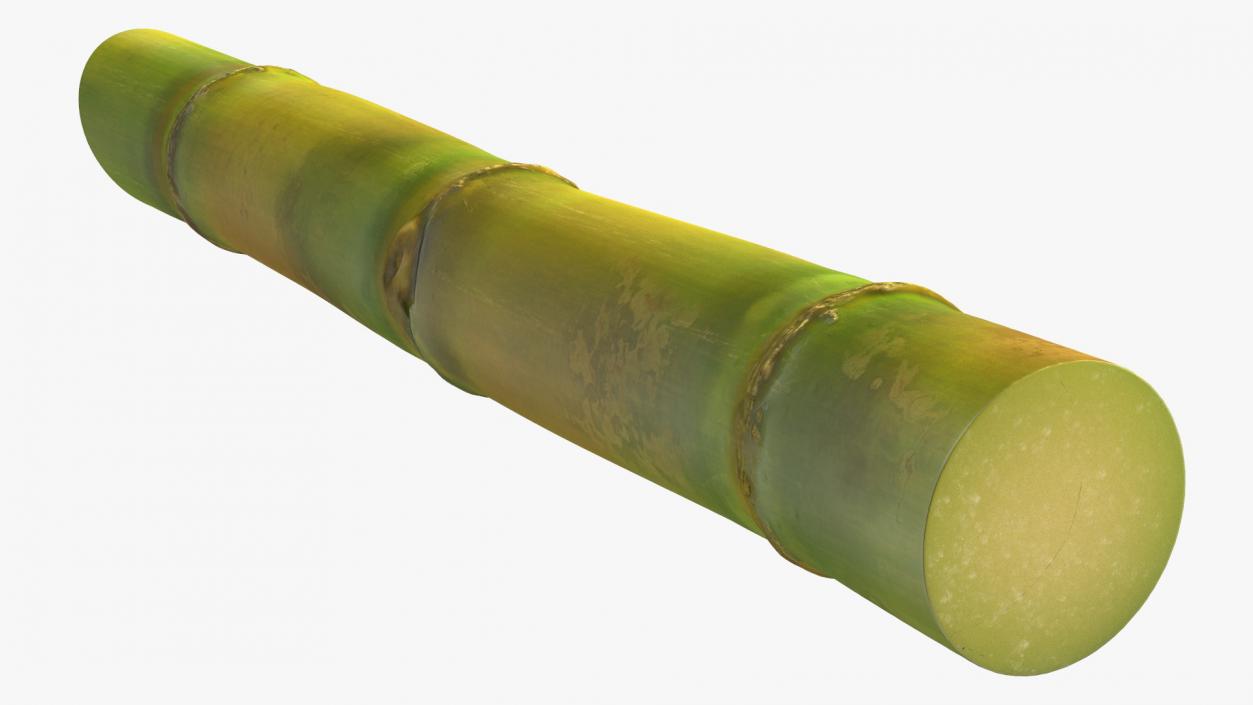 3D Green Sugarcane Stick