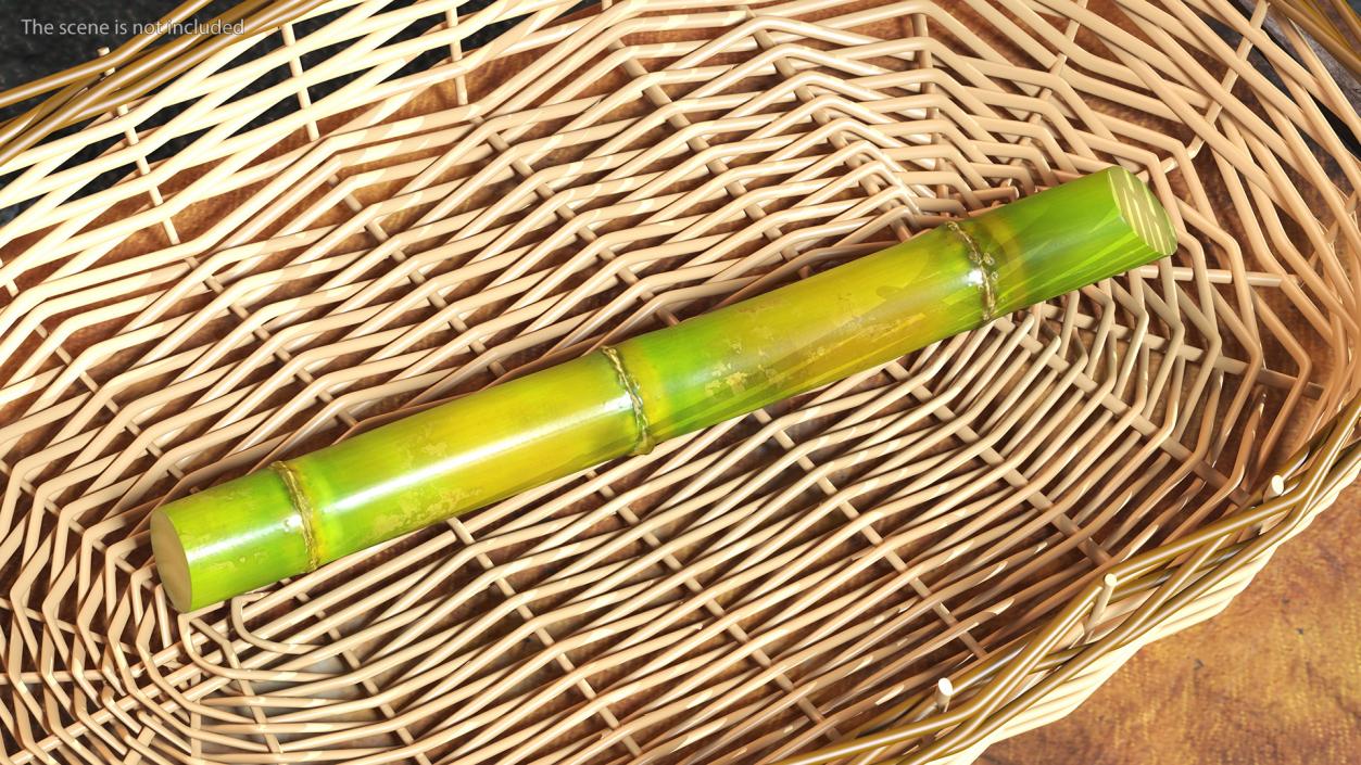 3D Green Sugarcane Stick