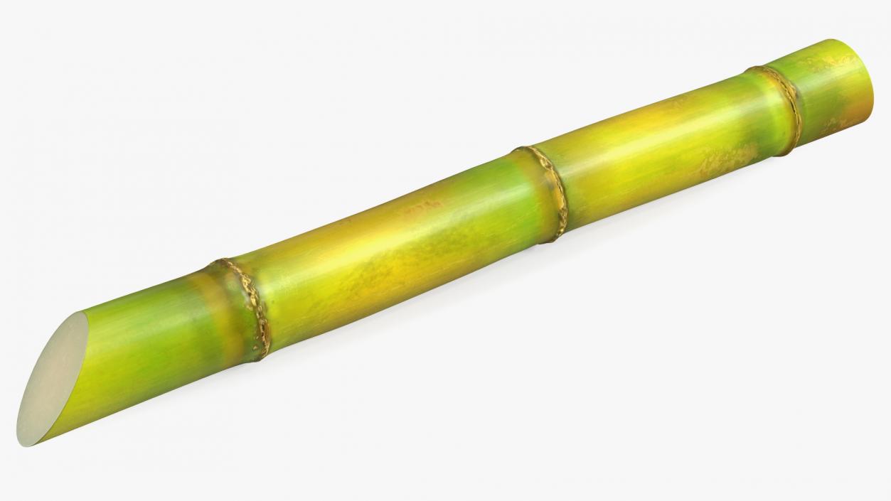 3D Green Sugarcane Stick