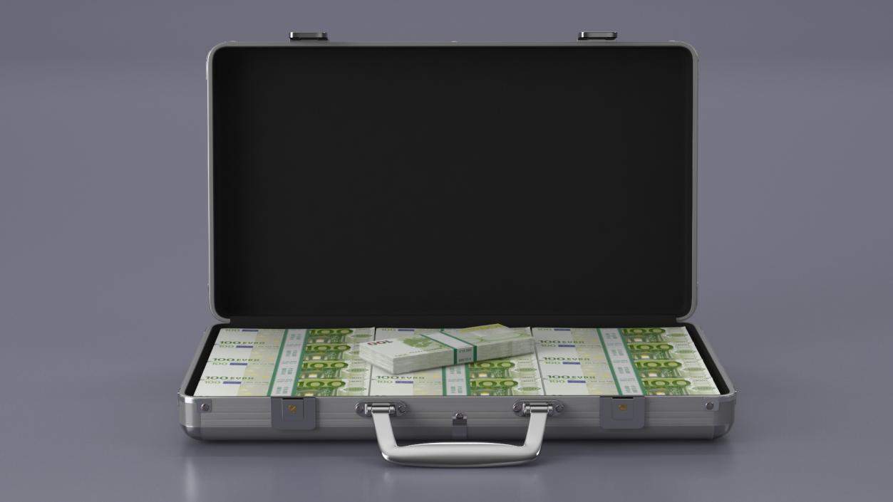 Aluminum Case Full of Euro Money 3D