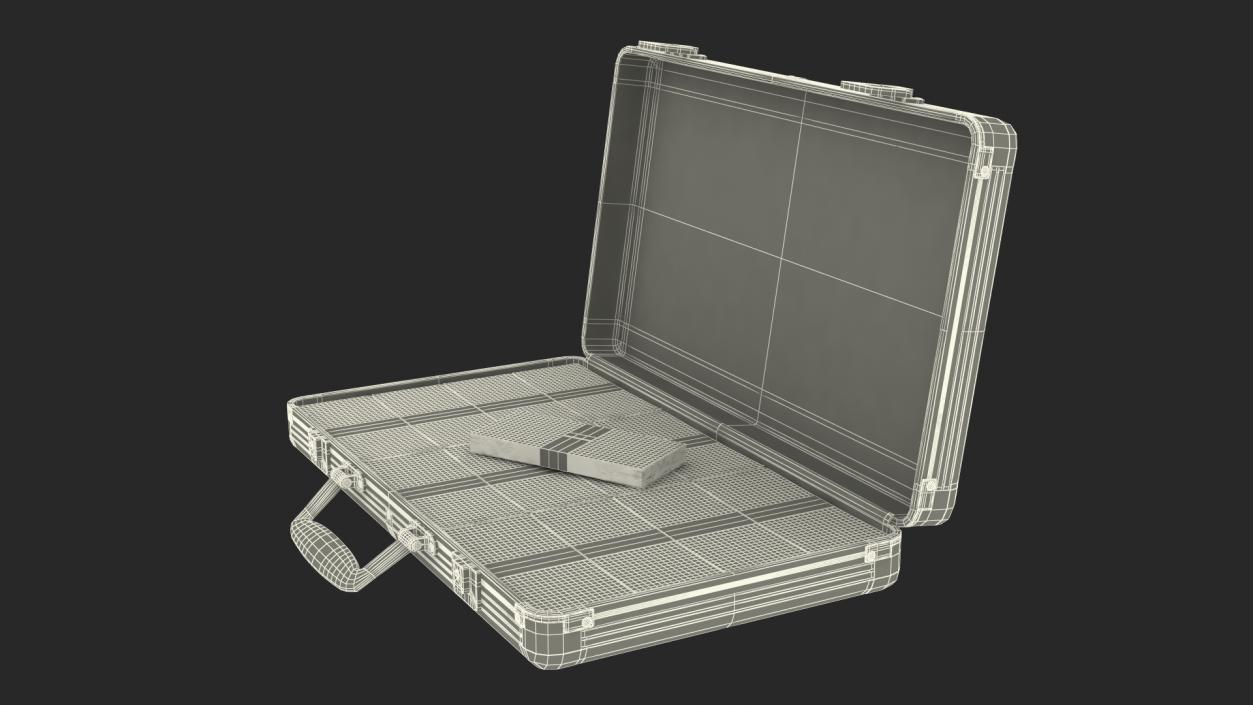 Aluminum Case Full of Euro Money 3D