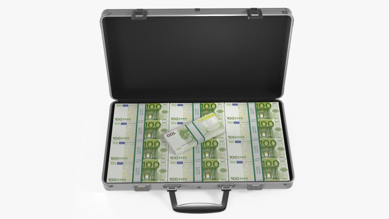 Aluminum Case Full of Euro Money 3D