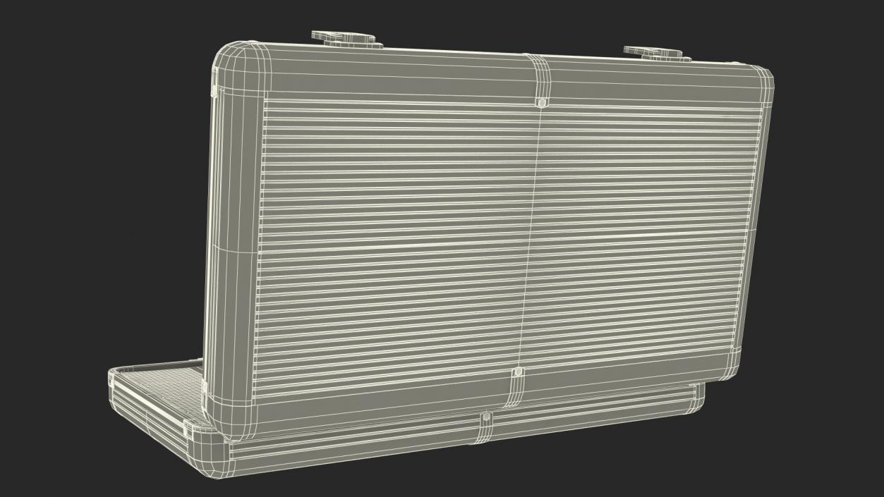 Aluminum Case Full of Euro Money 3D