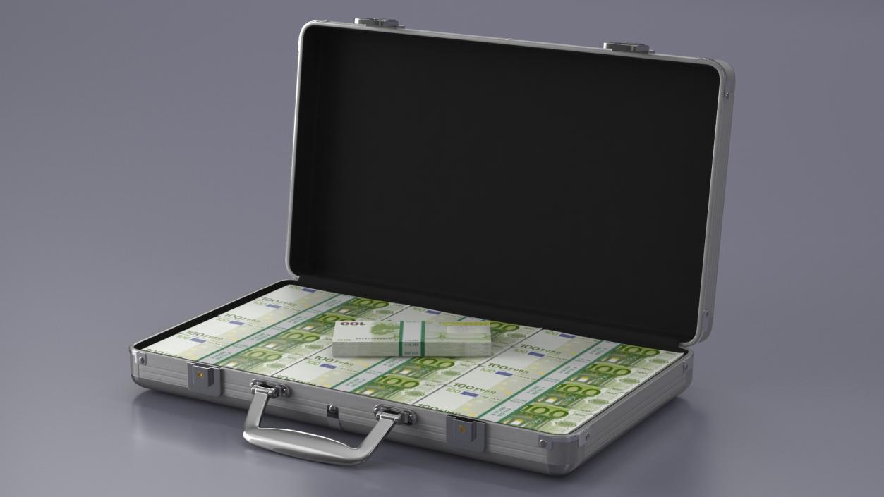 Aluminum Case Full of Euro Money 3D